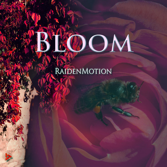 BLOOM cover art